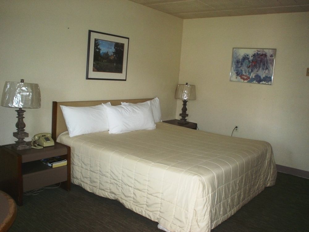 Bayside Motor Inn بلين المظهر الخارجي الصورة